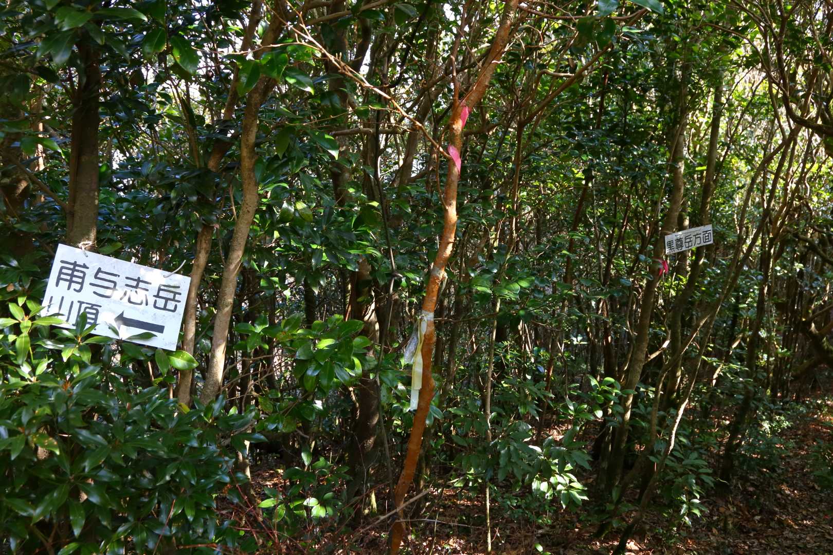　　　　黒尊岳方面→
甫与志岳
山頂⬅
