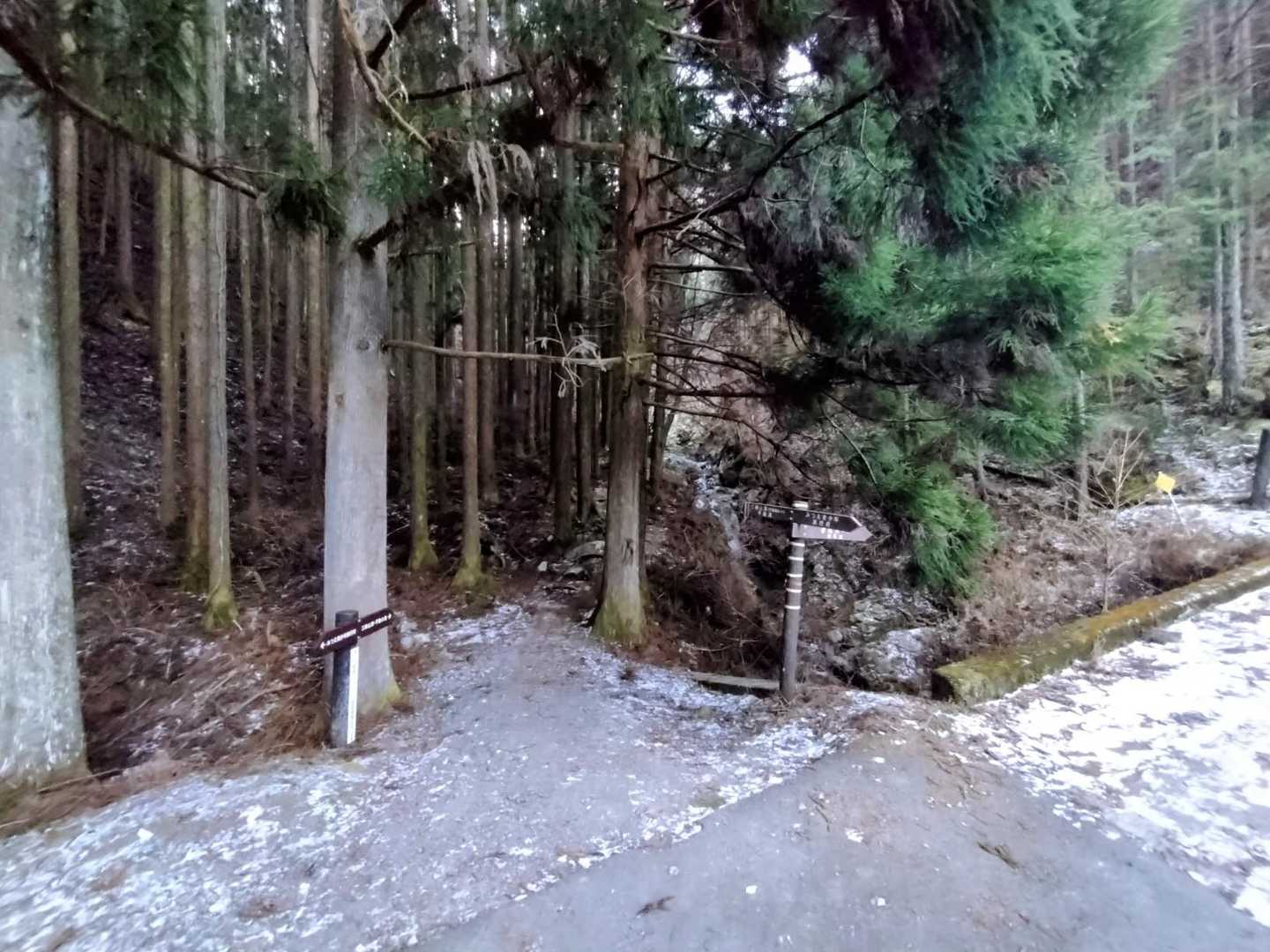 不動滝ルートの登り口🚶