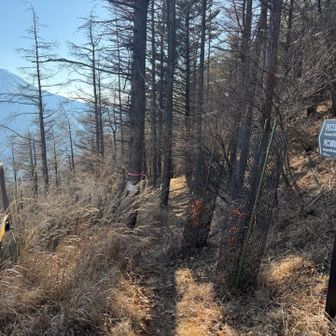 セカンドテラス脇の道へ
ここからの下山道はかなり細く斜め⚠️