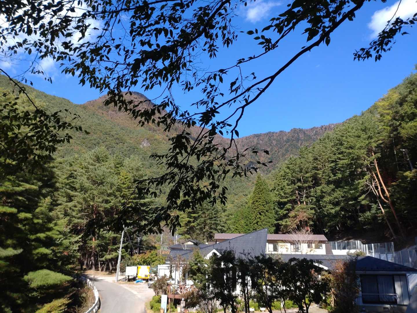 桑留尾登山口-十二ヶ岳 往復コースの写真