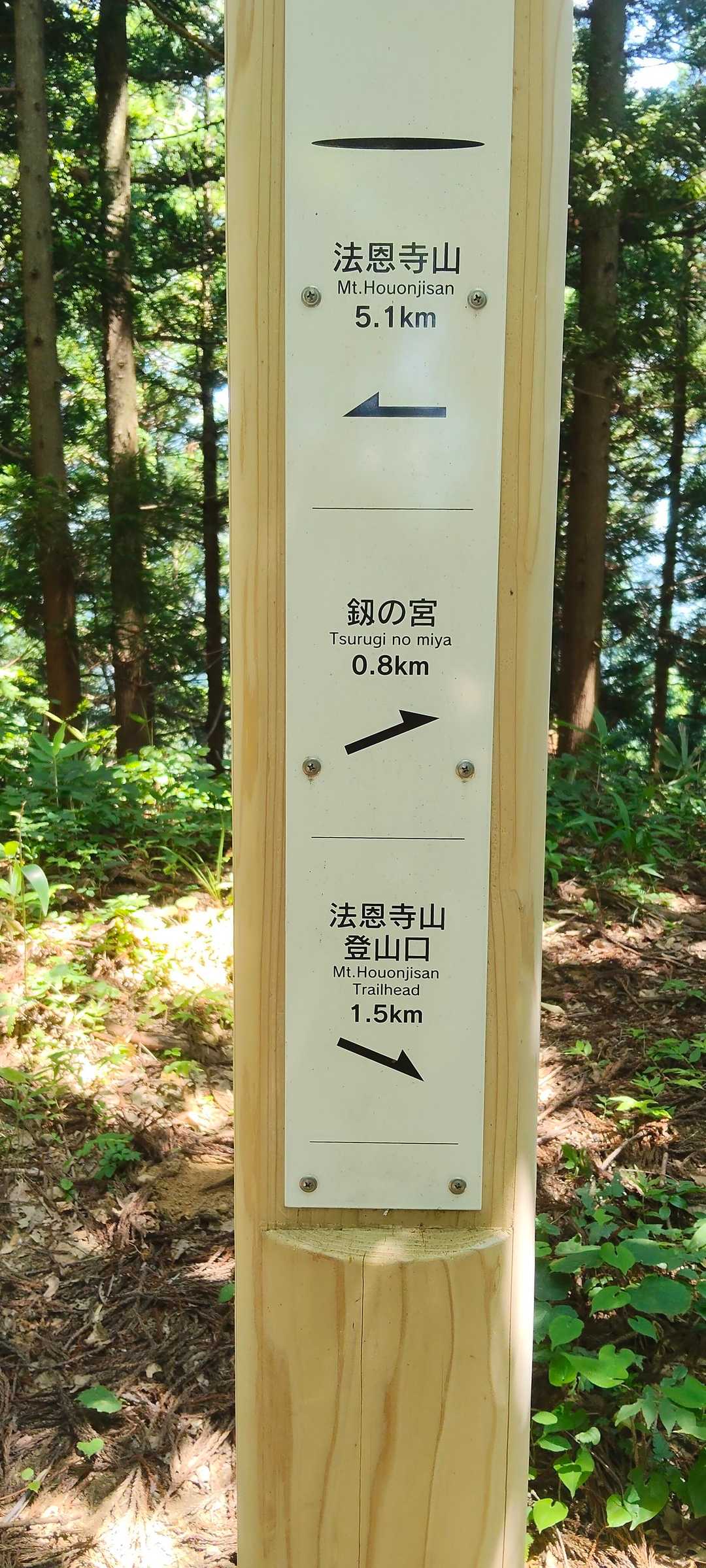 分岐の案内