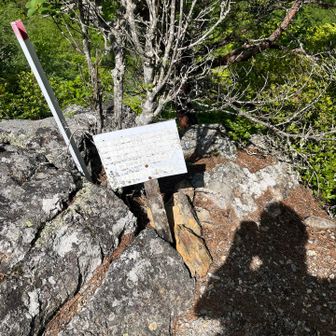見晴し台。YAMAP地図と実際の場所がズレています