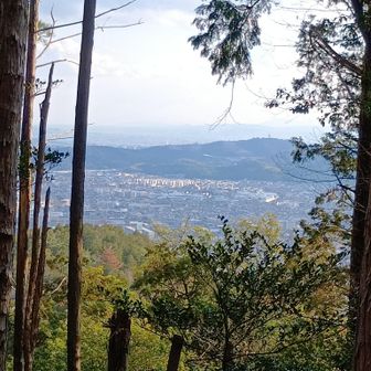 山科..
いや～飛鳥時代から..
大化の改新(乙巳の変)と万葉の息吹を感じます 改めて御陵と言う地名の意味を噛締め..