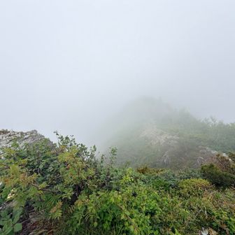 芦別岳もガスの向こう😭