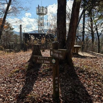 広々とした山頂に到着