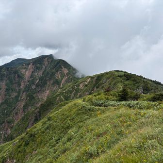 復路に選んだビジターセンターから油坂ノ頭までにルートは結構登る🥵