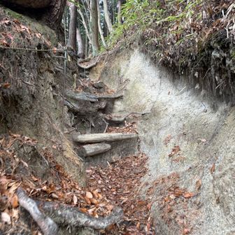 ちょいちょいロープがありますが、たゆむので頼りすぎず