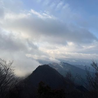 倶留尊山から二本ボソが見える。