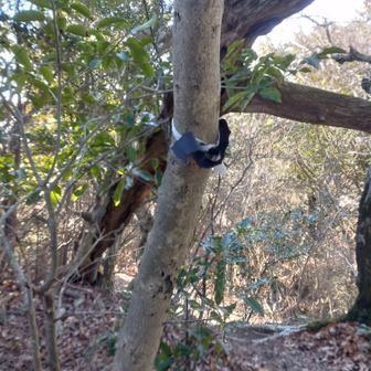 次に城山(東ノ峰)