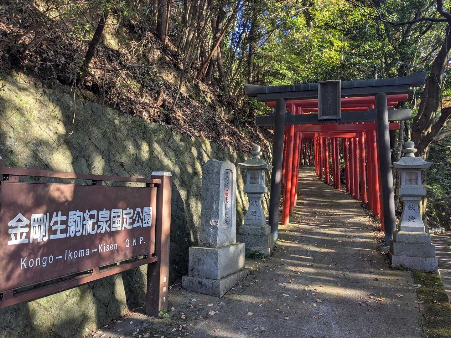 蔵王峠-南葛城山 往復コースの写真