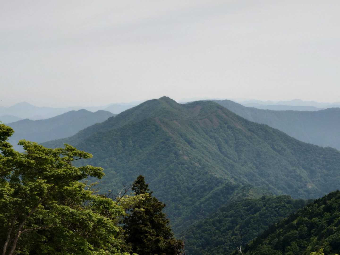 山頂から花房山👀
