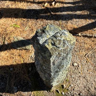 コレ…先週の八幡山で三角点🔼と間違えたやつと似てる🤔
