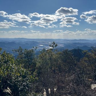 名古屋方面。タワーも見えます