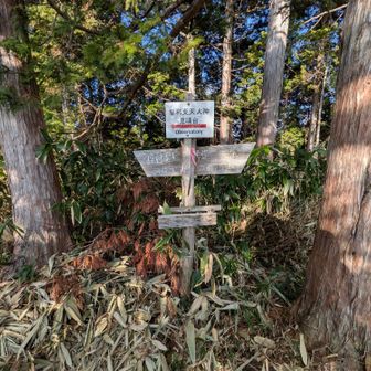 摩利支天への分岐