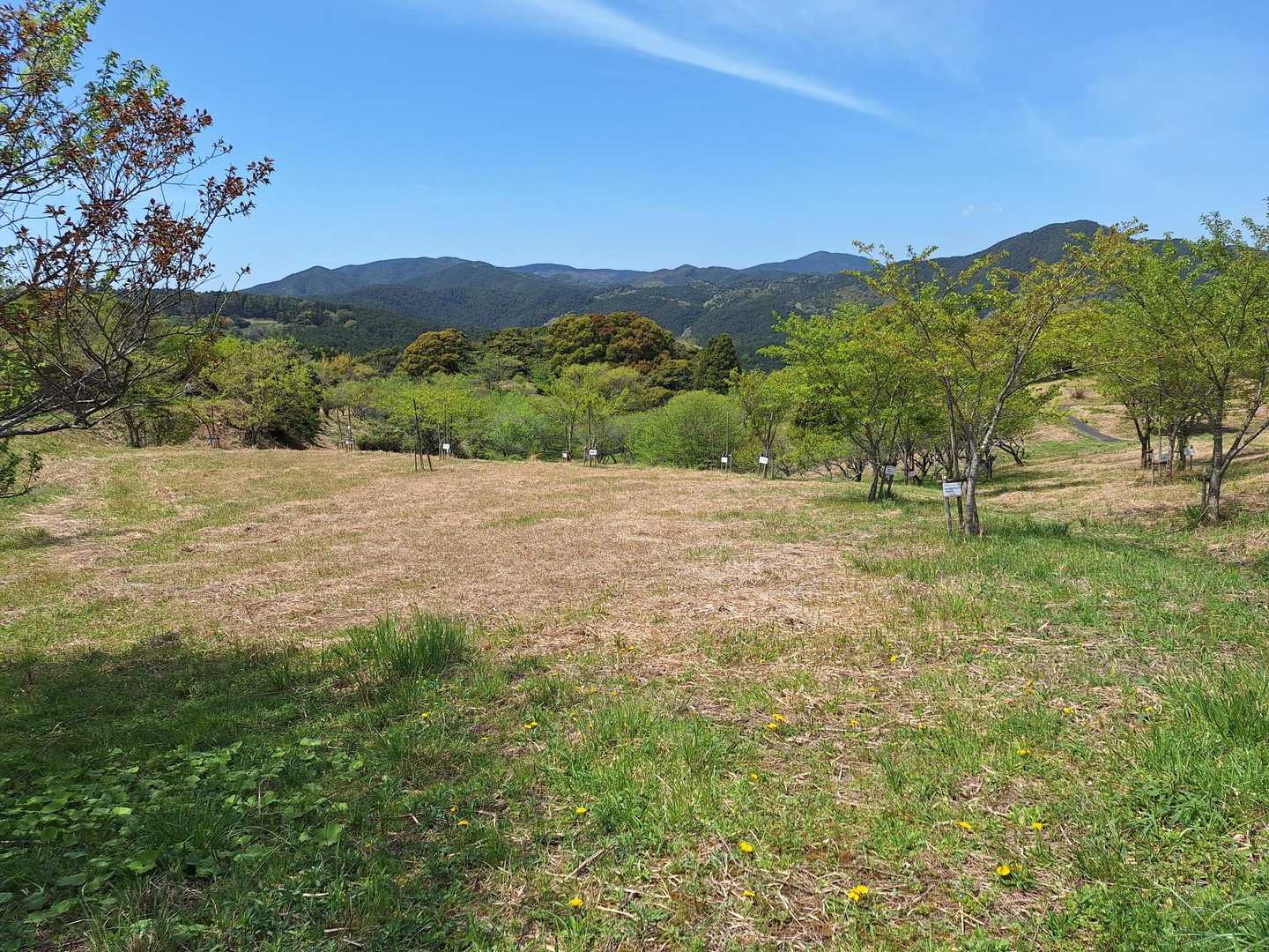八木山花木園に到着。
本日2座目も、無事の下山に感謝✨