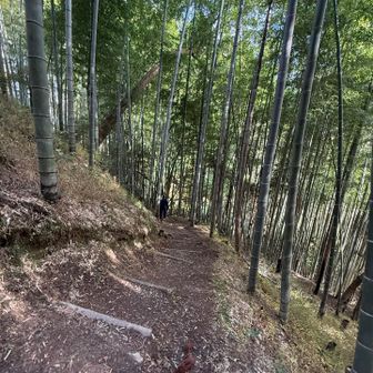 あら、かなり下りますよ💦
帰りがツラいかも😅