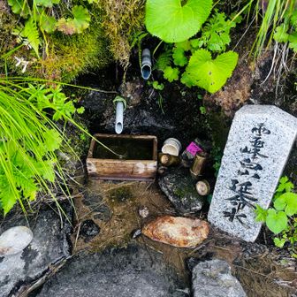 完全にではないけど枯れ気味...？