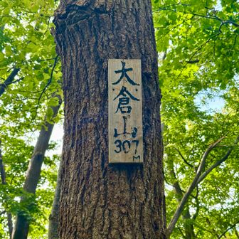 雨降ったりしていたけど、今日はわらじ虫ついていません
この先へ行ってきます