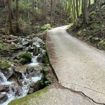 寺谷降りたので細尾谷の取り付けまで登ります