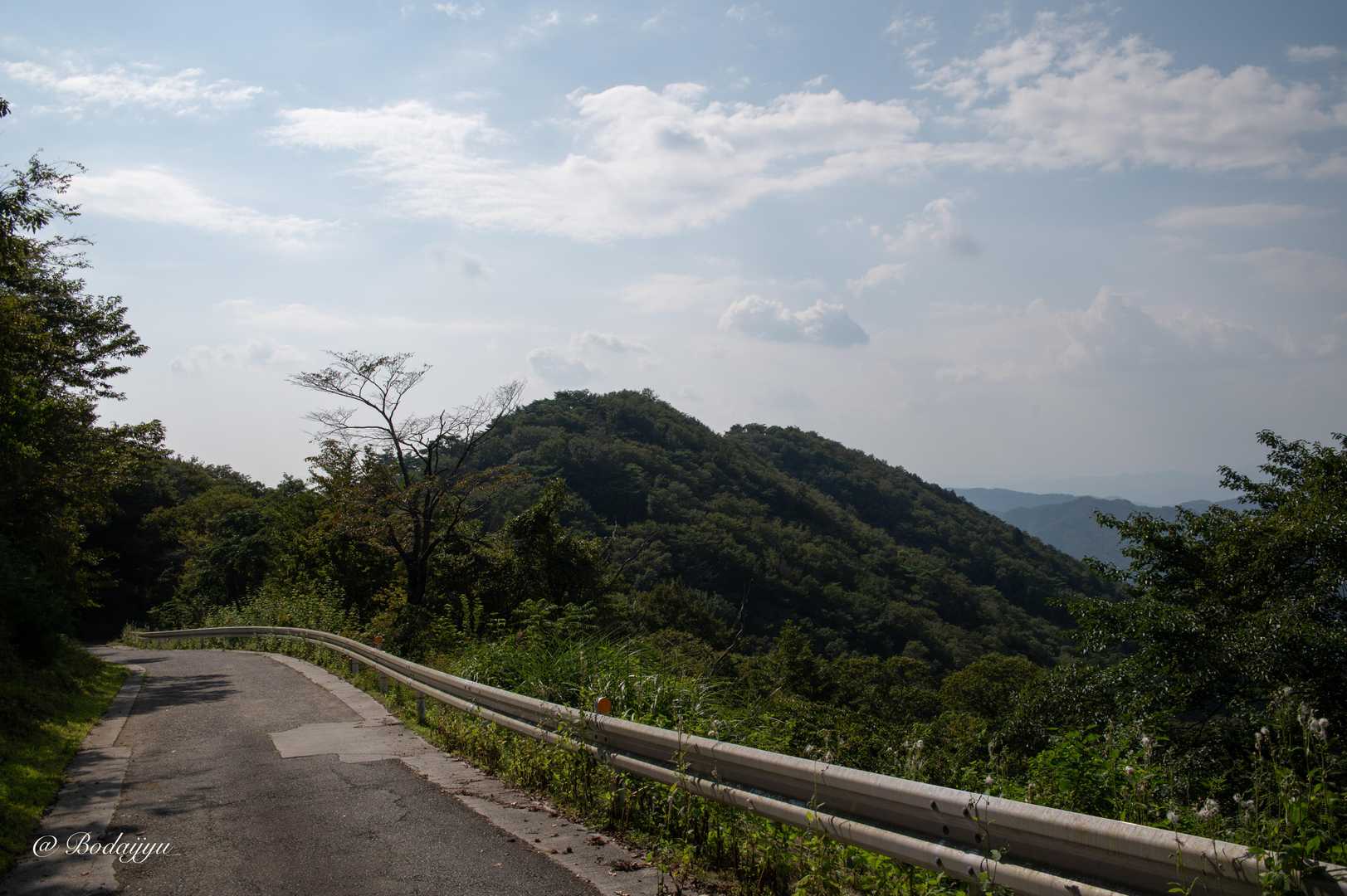 舗装路を歩く