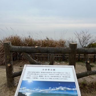 今日は霞んでます
午後から雨予報