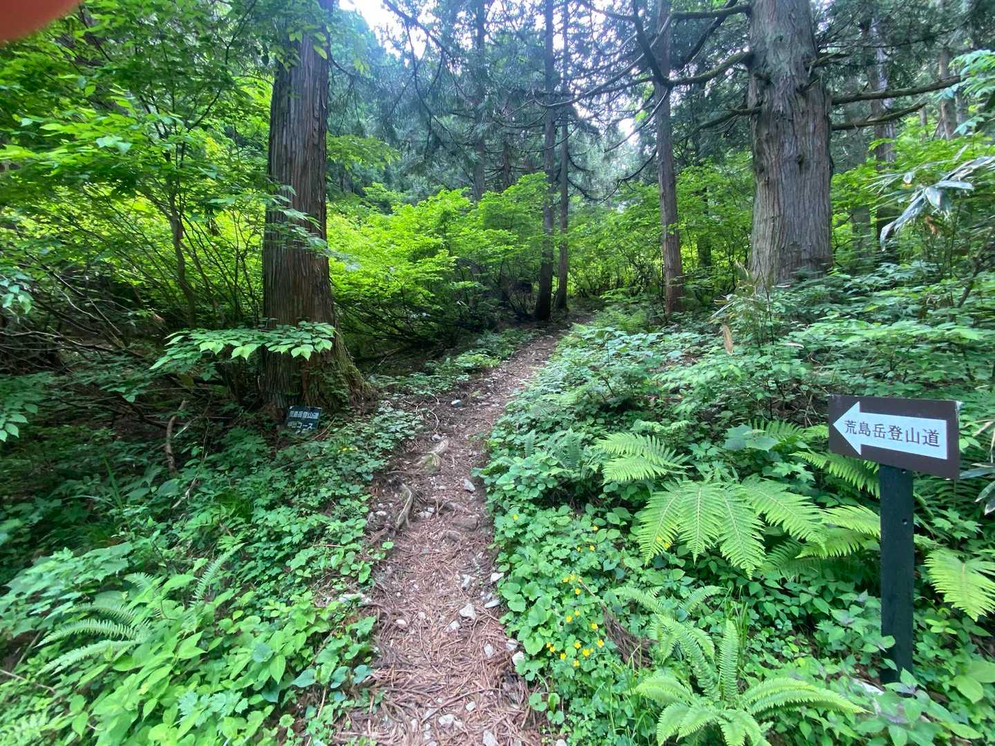 白山の翌日は全然足上がらん🥵💦