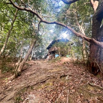 山小屋が見えてきました。