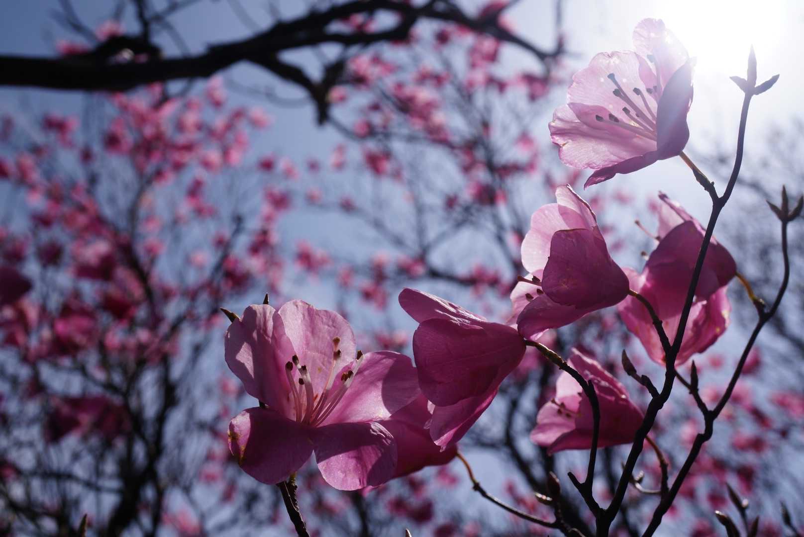 😊