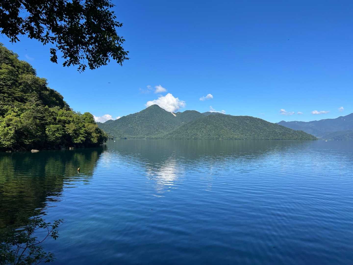 今日の目的、社山が美しい！