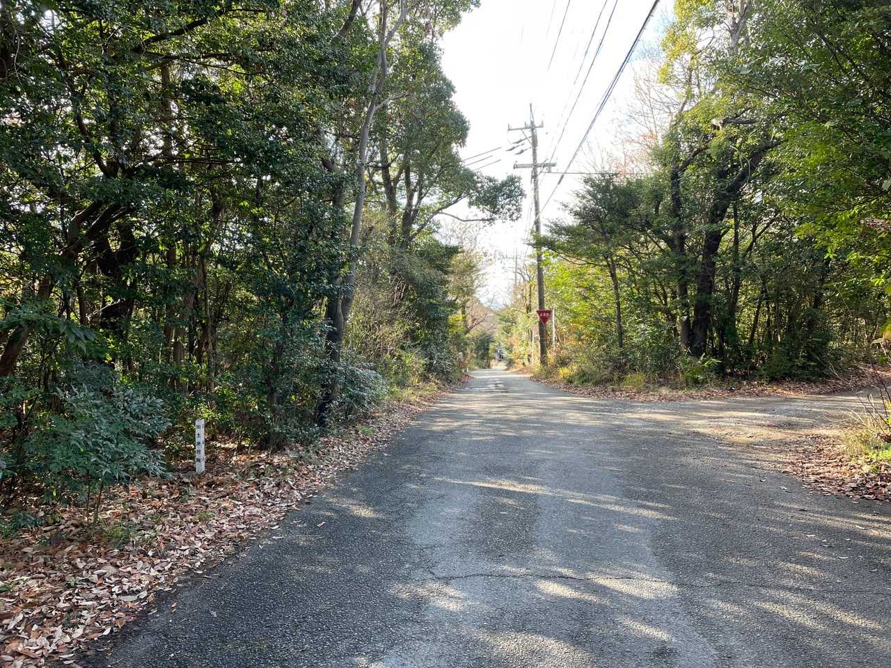 「相生山到着〜」
え？どこ？
左側に三角点が😳