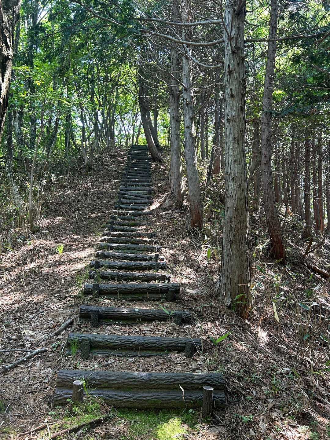 角ヶ仙 周回コースの写真