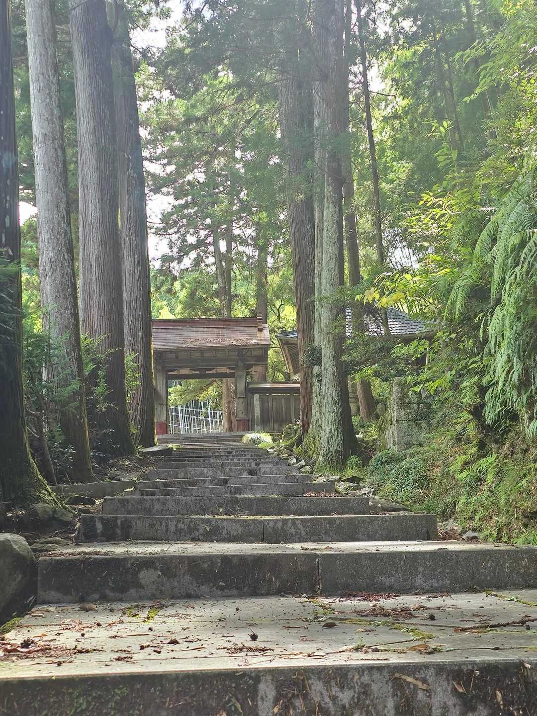 奥殿陣屋ルート登山口-村積山 周回コースの写真