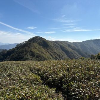 冠平から😀