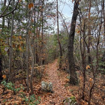 こんな感じは
鳩吹山とか各務原アルプスよね〜