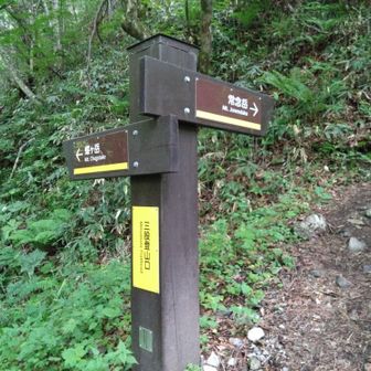 三股登山口に下山しました。