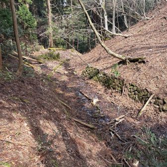 普通の登山道にでるのかと思いましたが、ぜんぜんです。谷になってるので急坂を下りて上りました。🥶🫠😵‍💫円城寺峠と言うらしい。知らんけど🙄