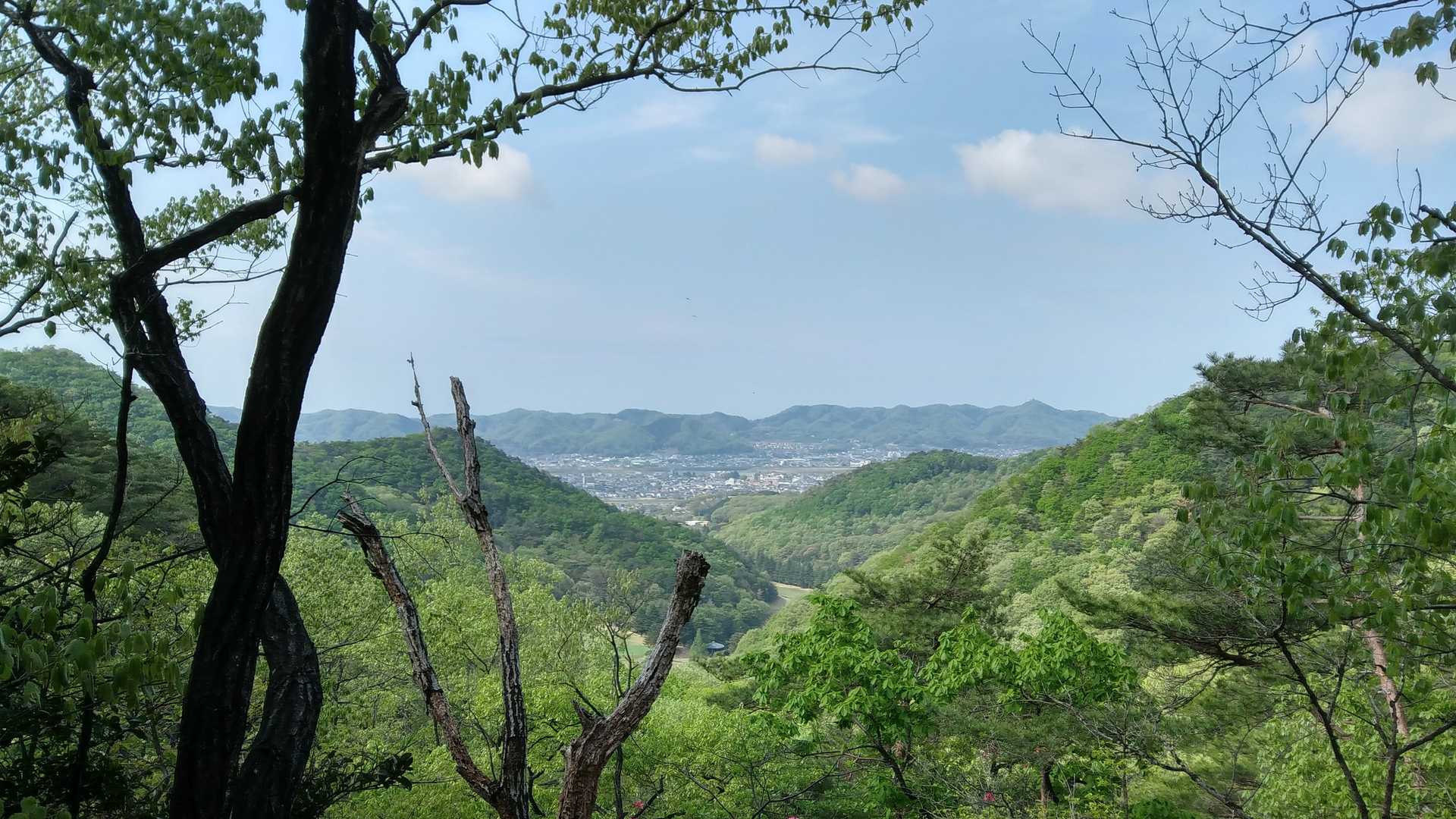 城山-ヤシオ山-姥穴山-白葉峠-高萩山 縦走コースの写真
