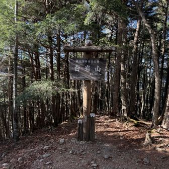 白岩山