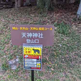 ここから登山スタートだ