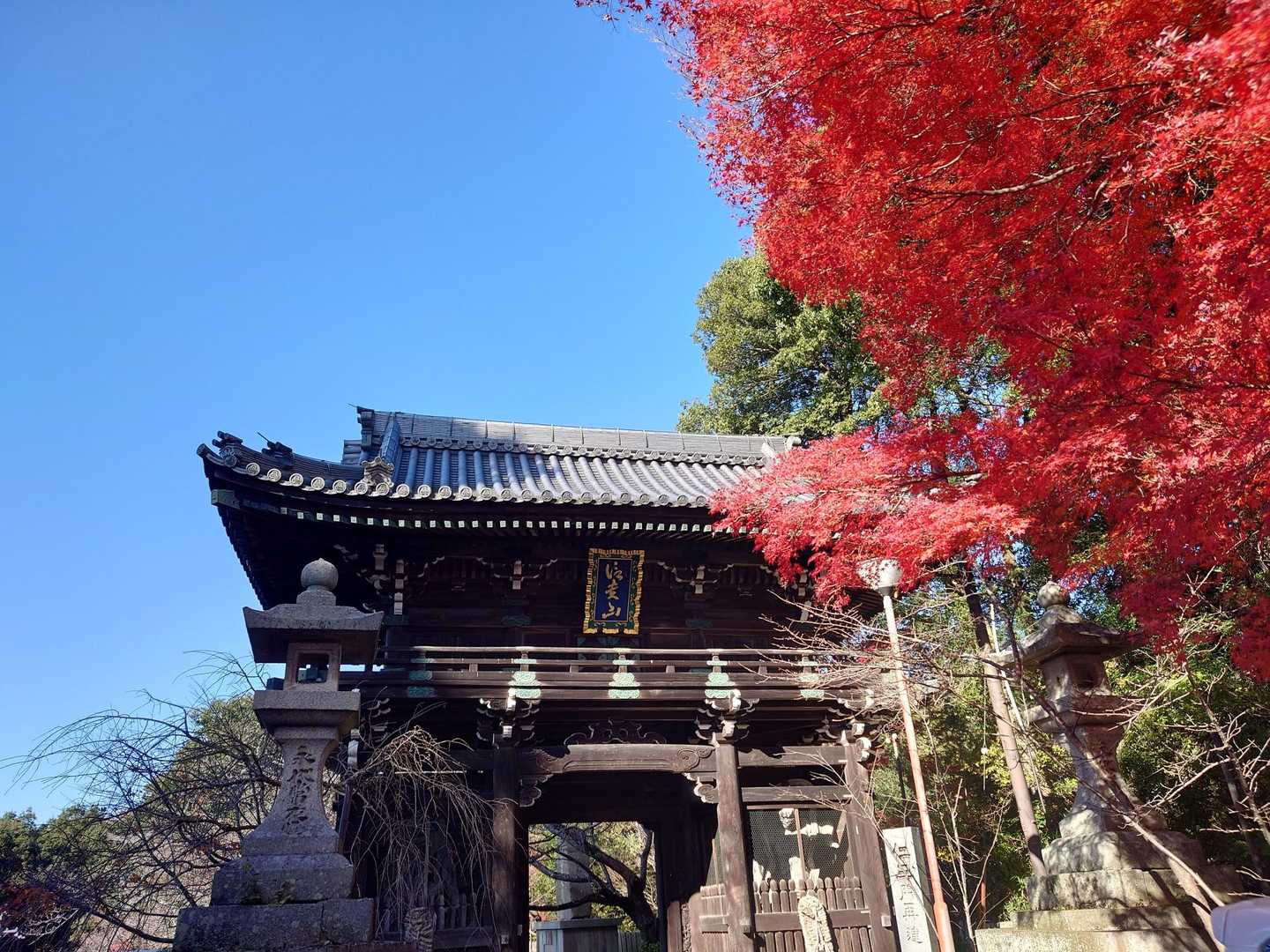 信貴山　朝護孫子寺　仁王門
阿吽の仁王さま
