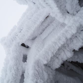粘ってみても結局天候は回復しません、心残りですが諦めて下山します。😮‍💨
