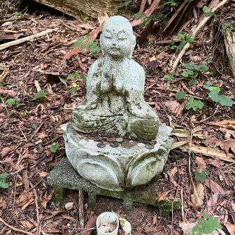 まるまる頭でお顔もふっくら可愛いい💕🙏