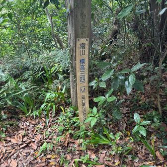 さらに奥に進むと東屋がありその隣に南峰頂上がありました。このまま時計周りに先に進もうとしましたが道がみつられず戻りました。