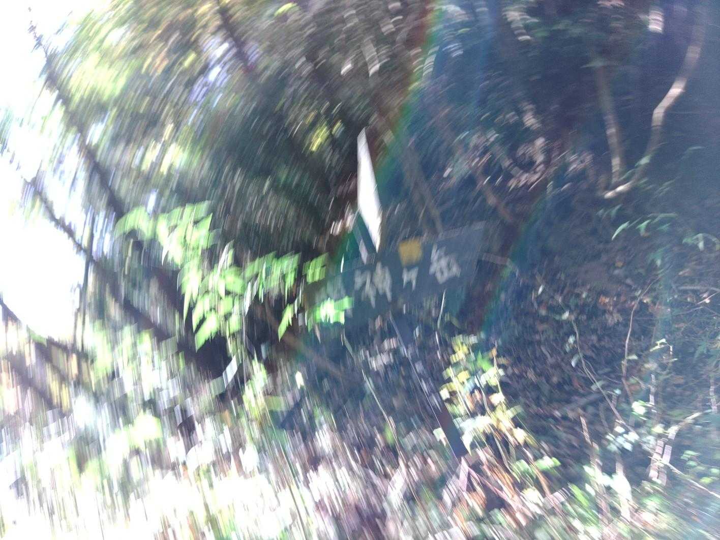 大雄山最乗寺-明神ヶ岳 往復コースの写真