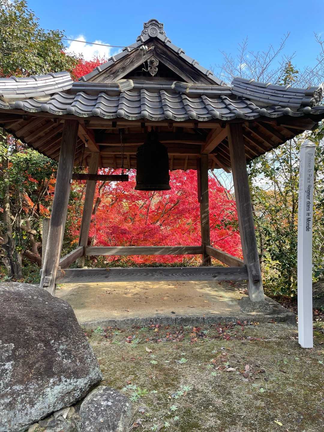 降りて来ましたー