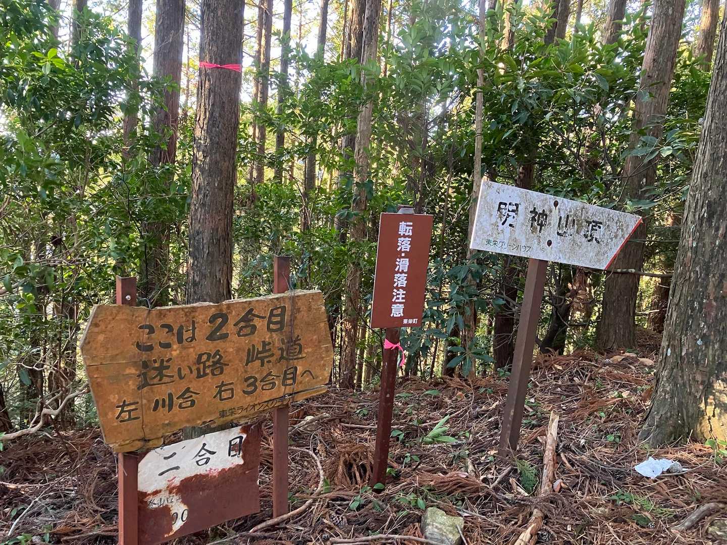 ５０分で2合目着
落ち葉多くてルート不明瞭です