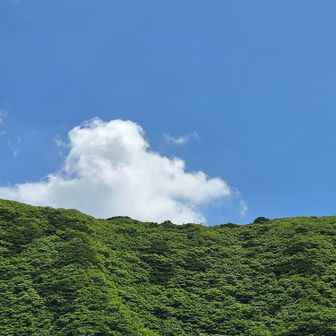 良き雲。夏がきます