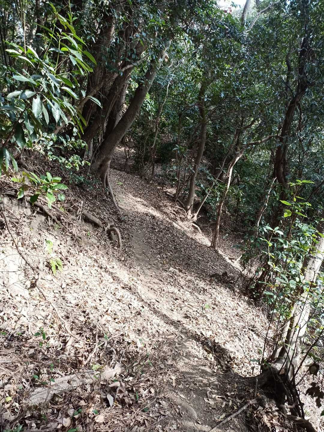 灘山登山口-灘山 縦走コースの写真