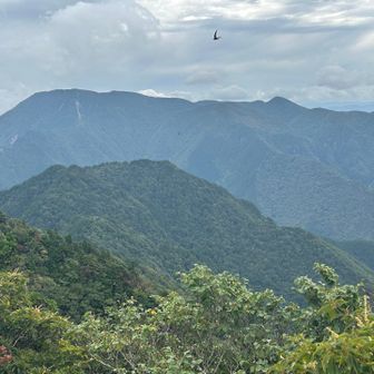 左から弥山、八経、頂仙まで(明星は隠れてる)

そして忘れてはいけないのが、手前のバリゴヤノ頭と強力の頭‼︎✨

さらには弥山から手前にのびる尾根に鐵山(てっせん) ← 重なって見えにくい。

さらにさらに、残念ながらこの日は雲で隠れてるけど、ほんまは弥山の左に釈迦ヶ岳が顔を出してる。残念ッス…
