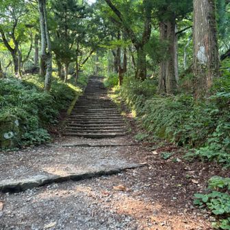 ずっと階段笑
